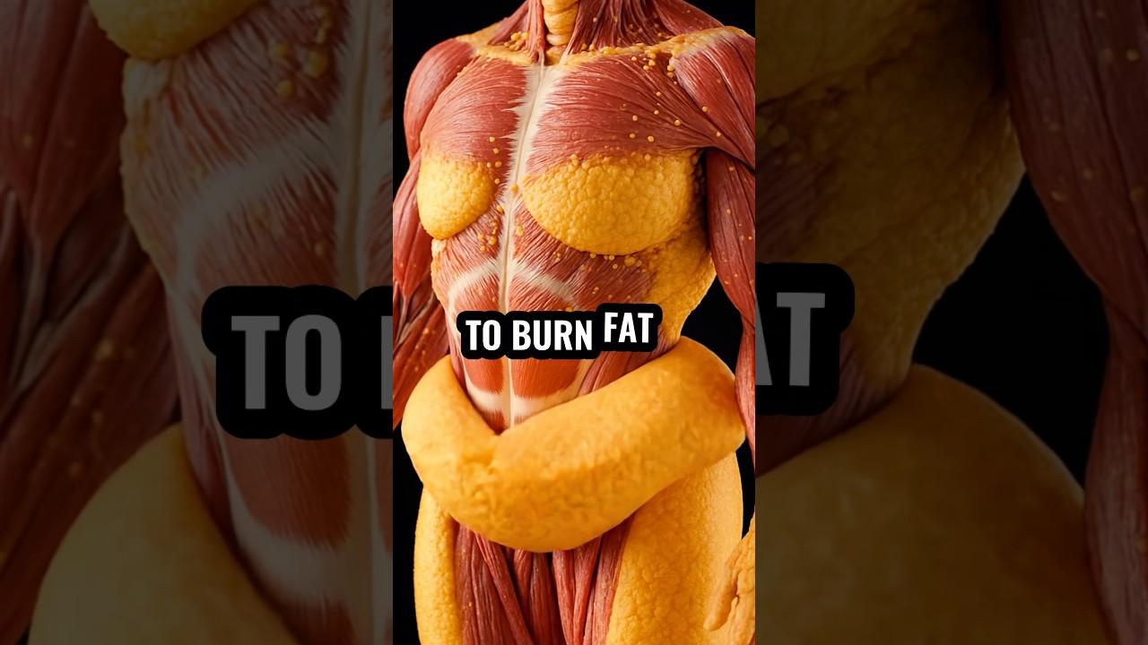 Baking Soda Weight Loss Hack: Why This Pantry Secret Is Trending Worldwide