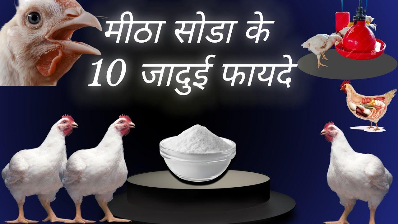 Baking Soda And Lemon Juice: The Trend That’s Breaking Search Records