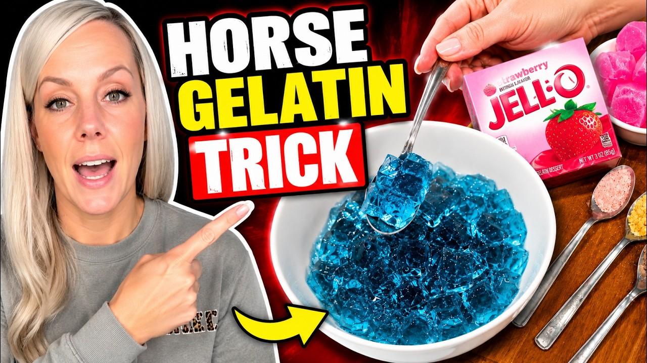Horse Gelatin For Men Recipe: Trending Method Explained