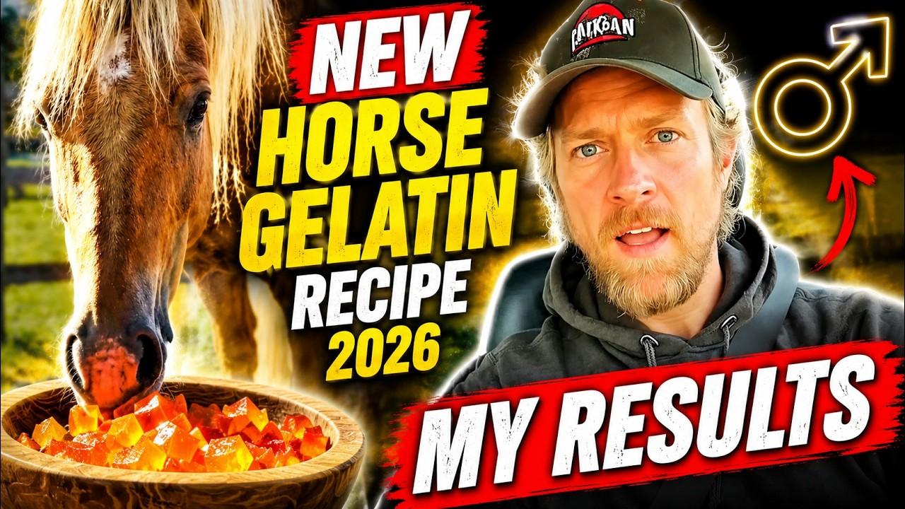 Horse Trick For Men Recipe: We Tested The Viral Formula