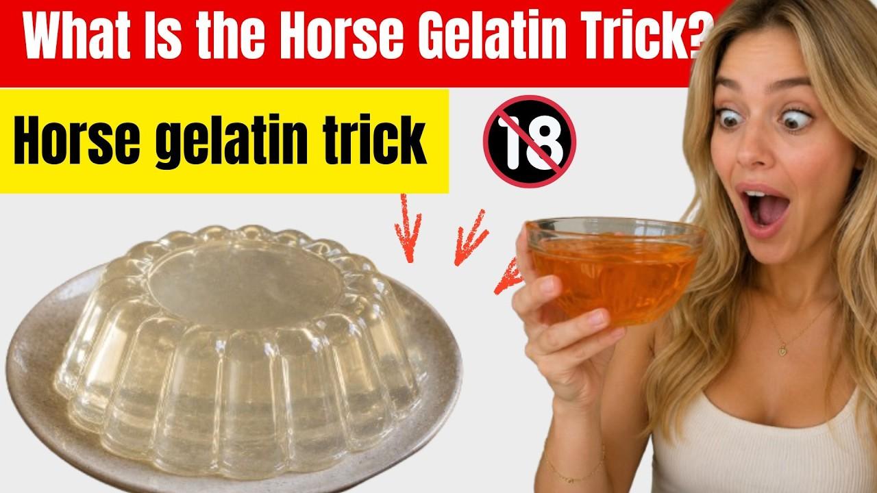 Horse Gelatin For Sale: Best Horse Gelatin Brands Compared