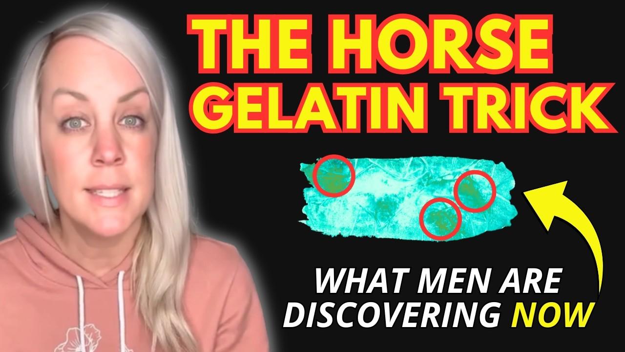 Horse Gelatin For Sale: Top Buying Mistakes To Avoid