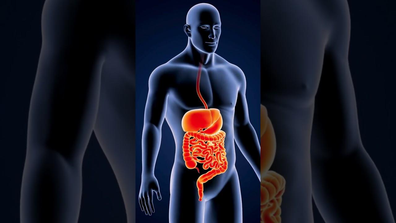 Gelatin Weight Loss Trick Ingredients: The Complete Formula Finally Explained